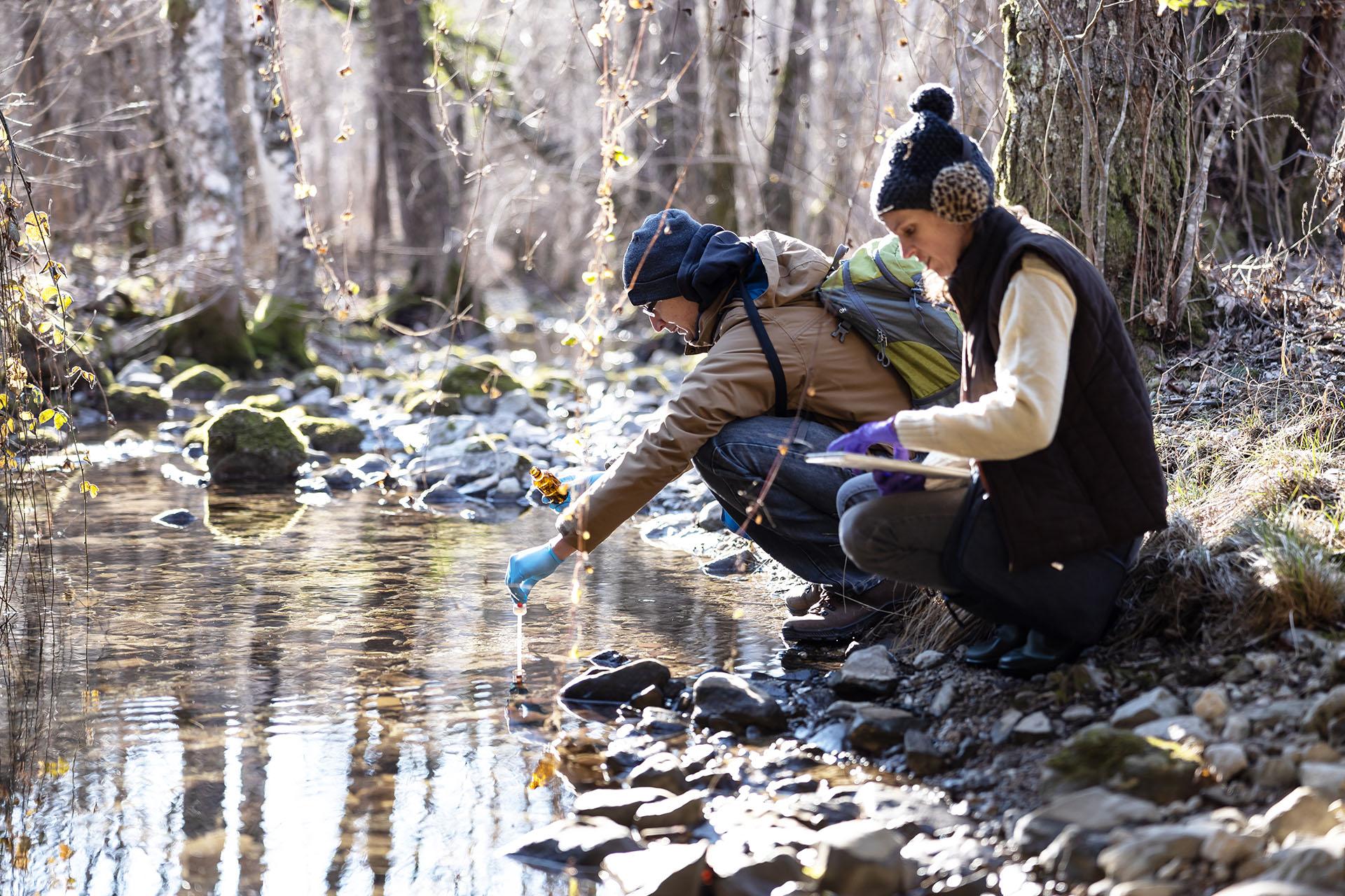 environment Researchers Taking a Sample of Water in a Forest Stream.
