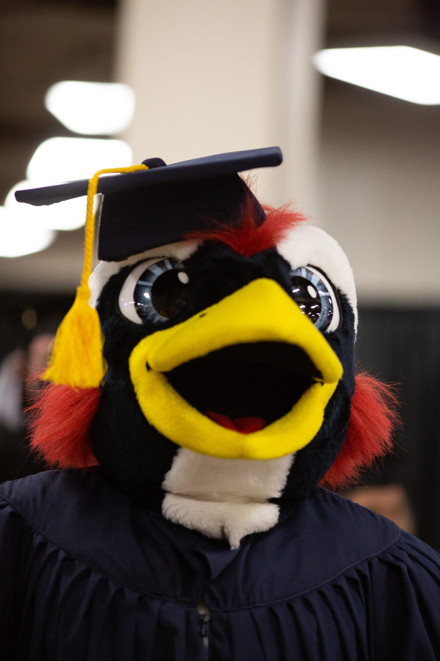 Decorative Image of Rowdy the Roadrunner at Graduation