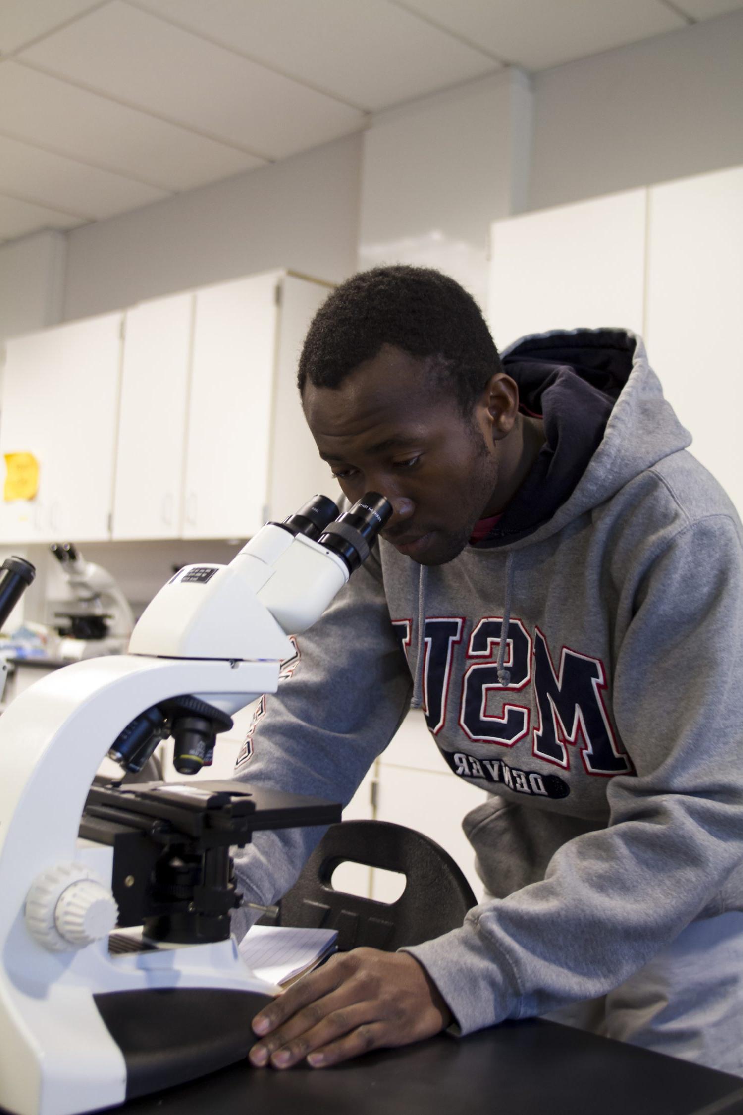 密歇根州立大学丹佛 Student looking through a microscope